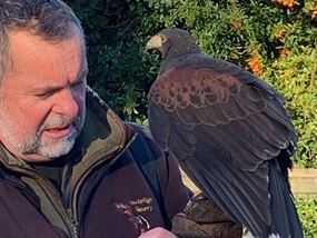 Customer Photo of Birds of Prey Staffordshire